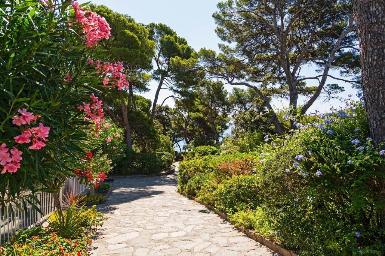 Parc Et Residence Le Provencal Hyères Dış mekan fotoğraf